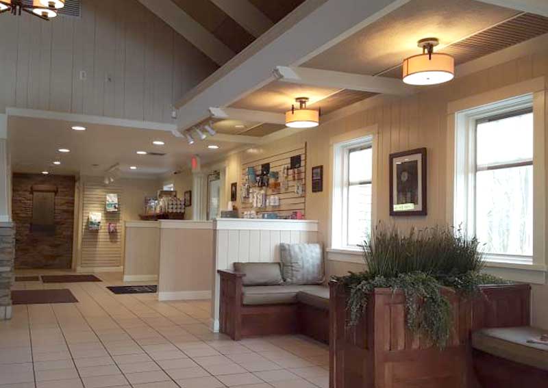 Carousel Slide 4: Learn more about our veterinary practice.