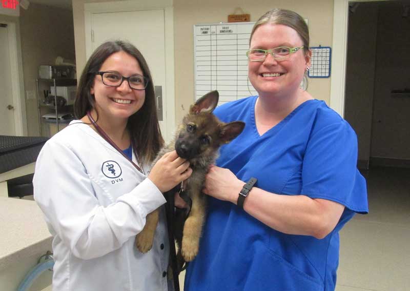 Carousel Slide 6: Meet our amazing team